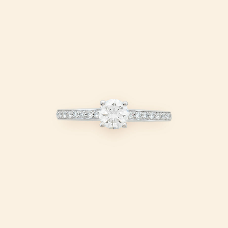 Solitaire Precious White gold