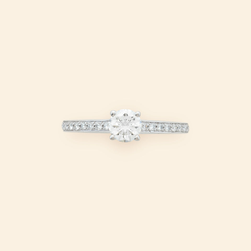 Solitaire Precious White gold