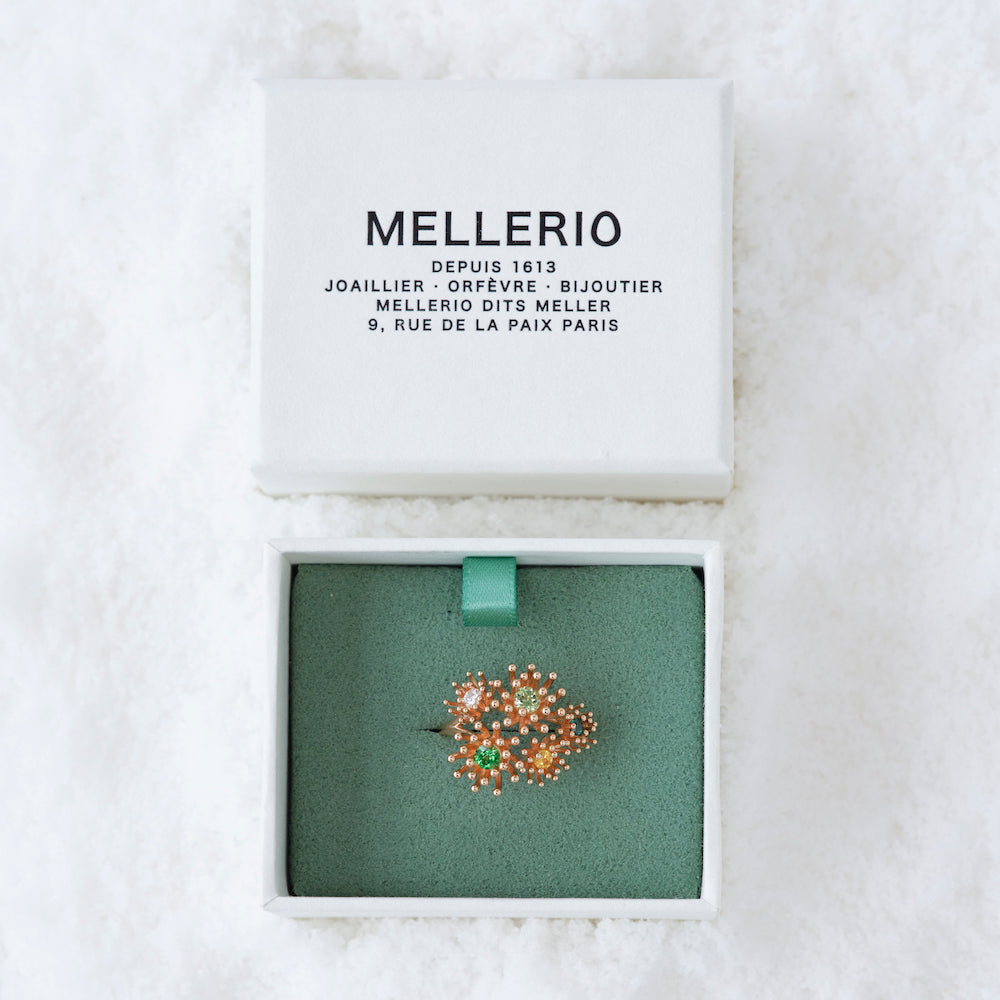 Le petit Cactus Vert Ring 5 Patterns