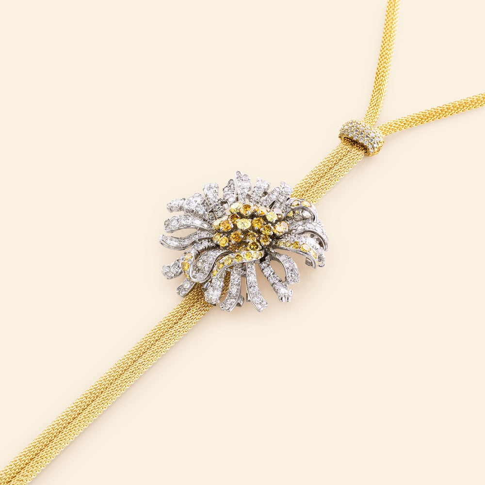 Bellezza Fiore Margherita