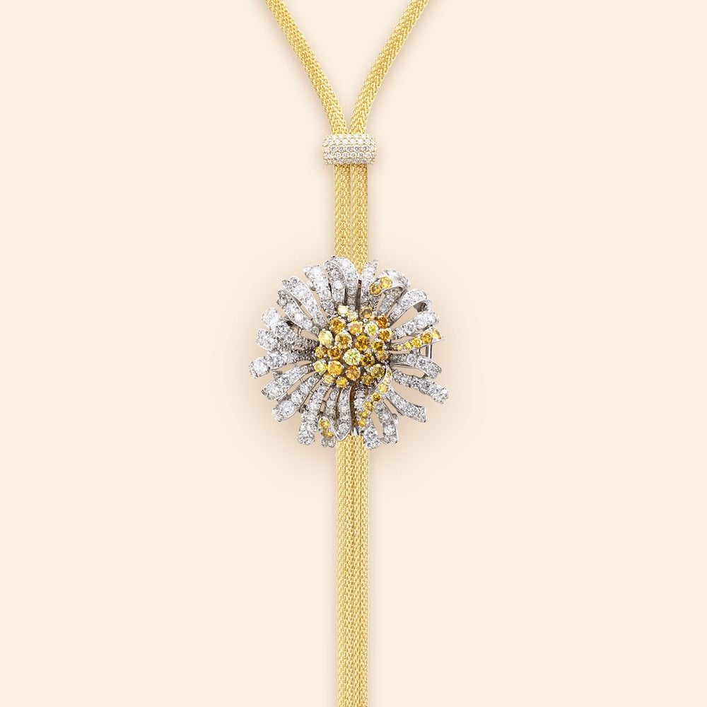 Bellezza Fiore Margherita