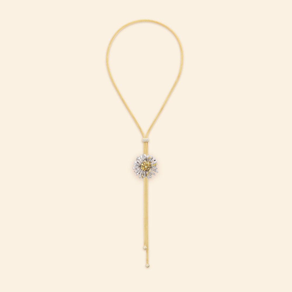 Bellezza Fiore Margherita