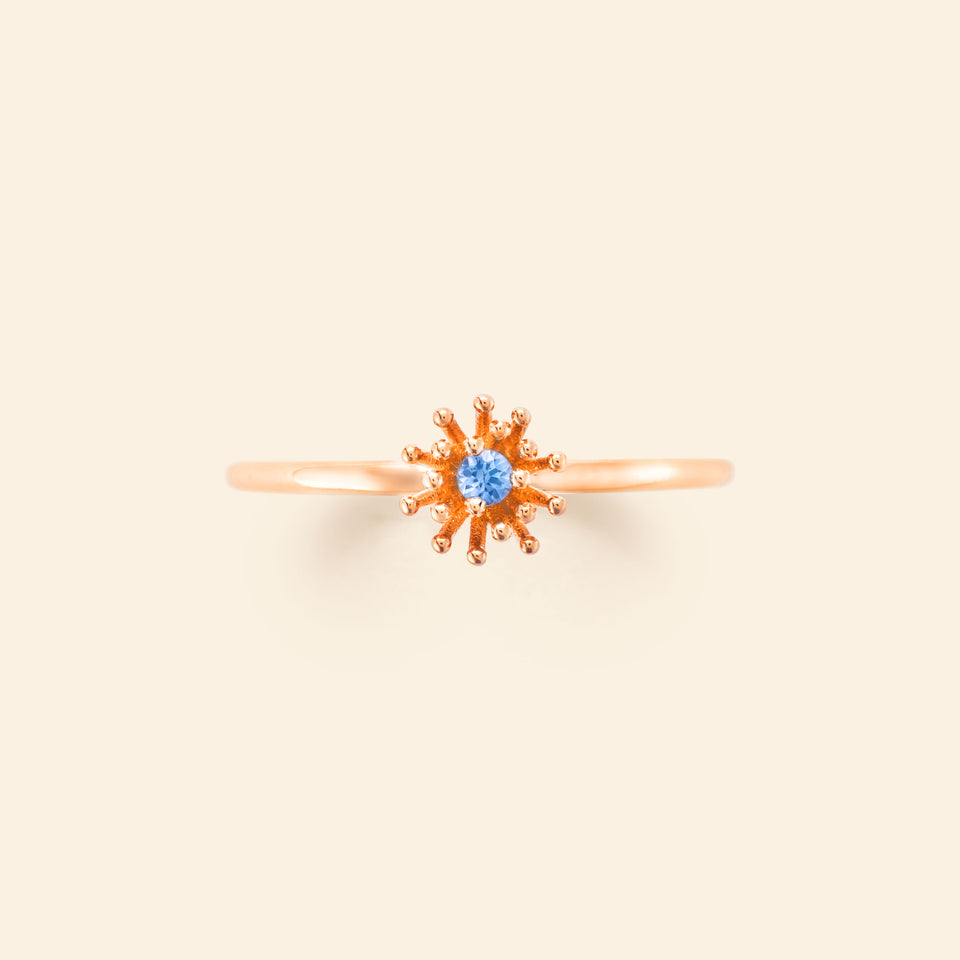 Le petit Cactus Bleu Ring SM