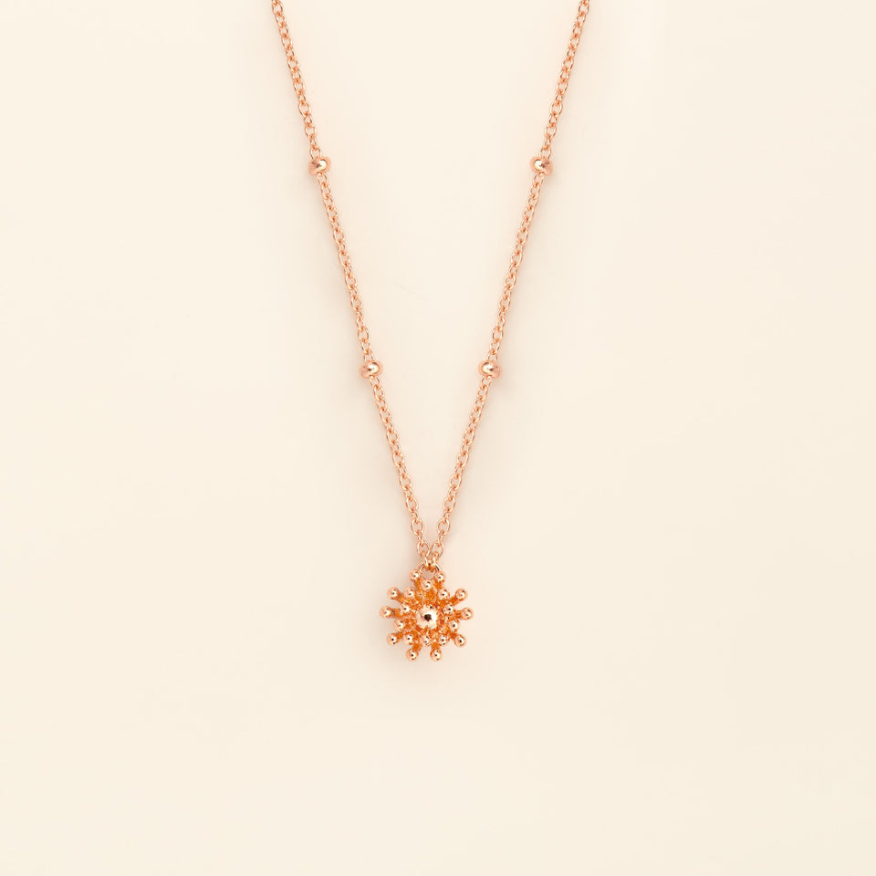 Le petit Cactus Vanille Necklace Pink gold