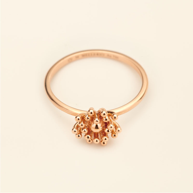 Le petit Cactus Vanille Ring MM Pink gold