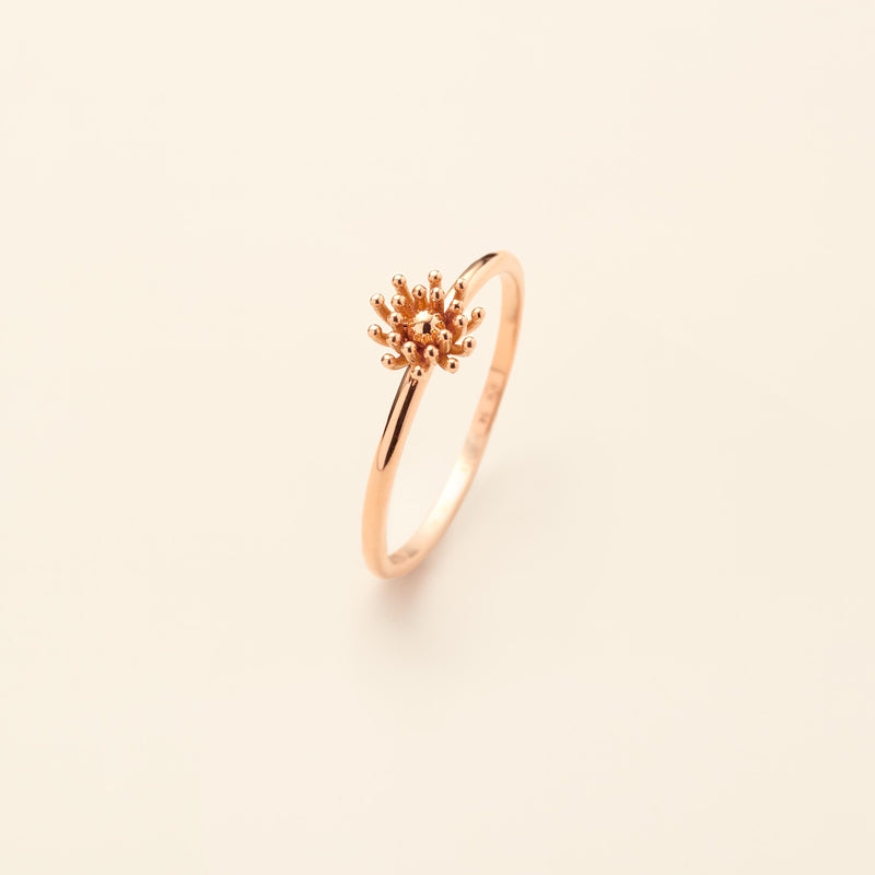 Le petit Cactus Vanille Ring SM Pink gold